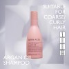 Björn Axén Argan Oil Shampoo mini 25ml