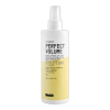 Glossco PERFECT VOLUME purumo ir apimties suteikiantis plaukų purškiklis 250ml