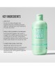 Hairburst Shampoo For Longer Stronger Hair For Oily Scalp And Roots plaukų šampūnas riebiai galvos odai ir plaukų šaknims 350ml