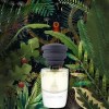 Masque Milano Sleight of Fern perfume - a fragrance for women and men 35ml